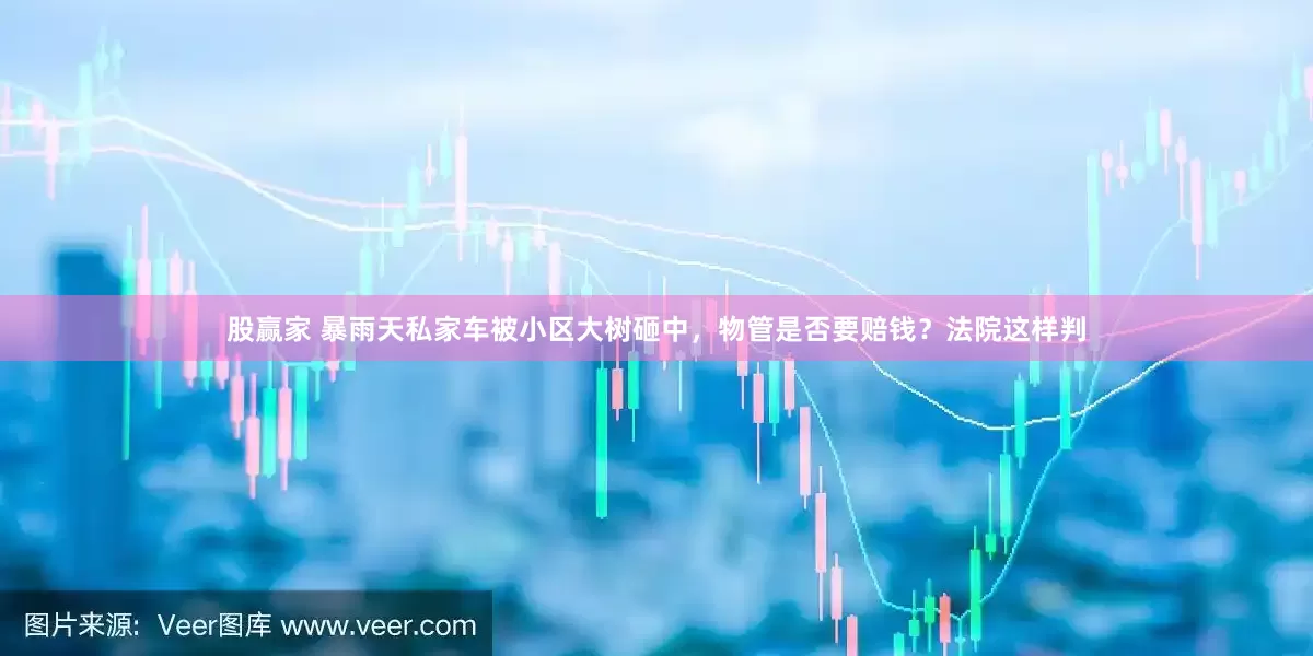 股赢家 暴雨天私家车被小区大树砸中，物管是否要赔钱？法院这样判