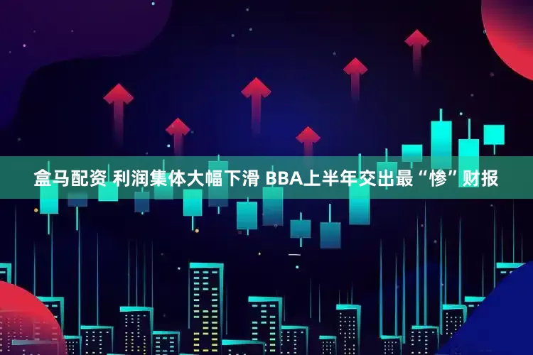 盒马配资 利润集体大幅下滑 BBA上半年交出最“惨”财报